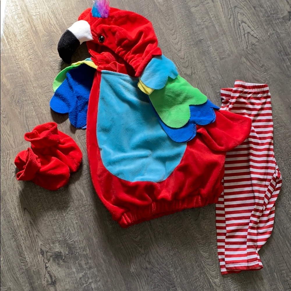 Baby Parrot 🦜 Halloween Costume 👻